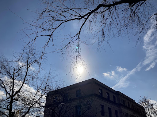 Looking up at a large building with the sun beating down on a clear day.